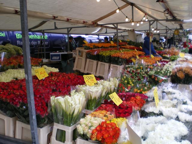 Blaak - Flowers2.JPG