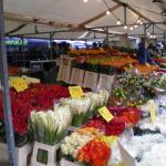 Blaak - Flowers2.JPG