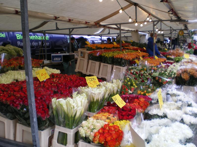 Blaak - Flowers2.JPG