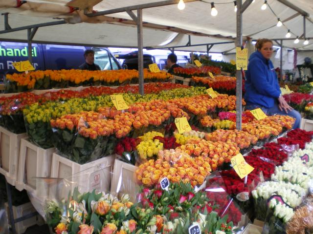 Blaak - Flowers3.JPG