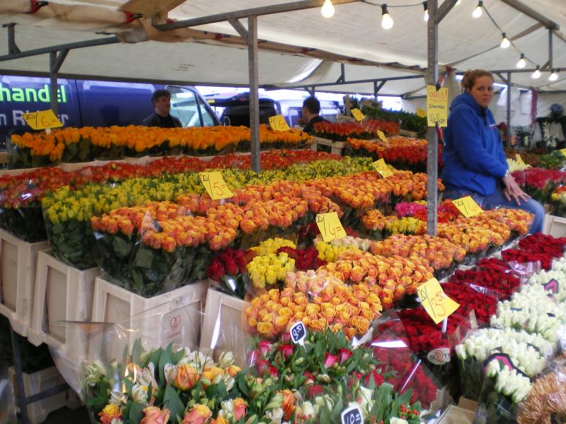 Blaak - Flowers3.JPG