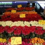 Blaak - Flowers4.JPG