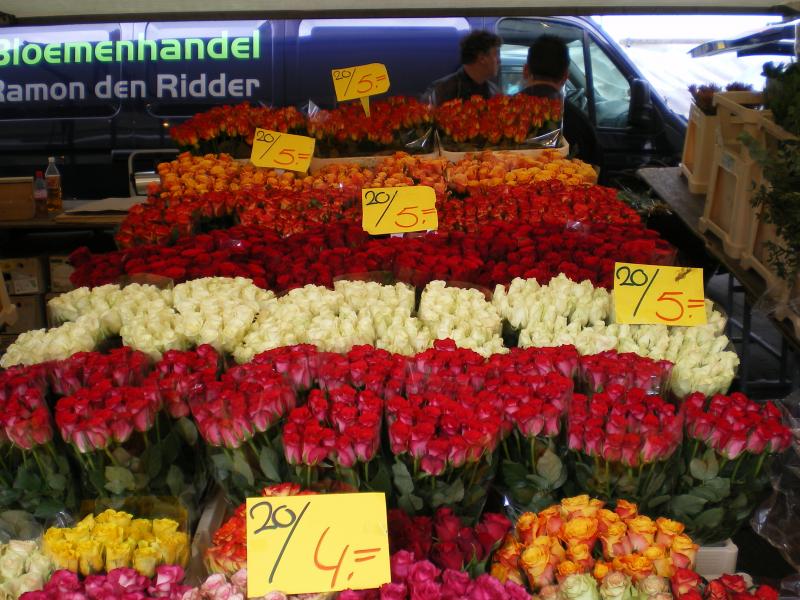 Blaak - Flowers4.JPG