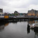 P1010006.JPG