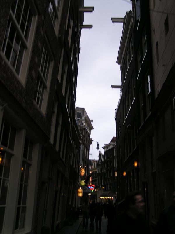 P1010010.JPG