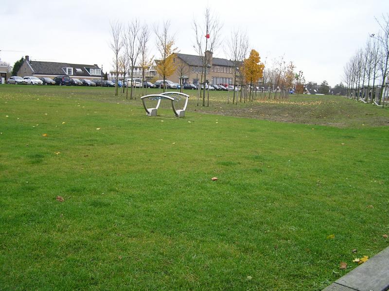 P1010005.JPG