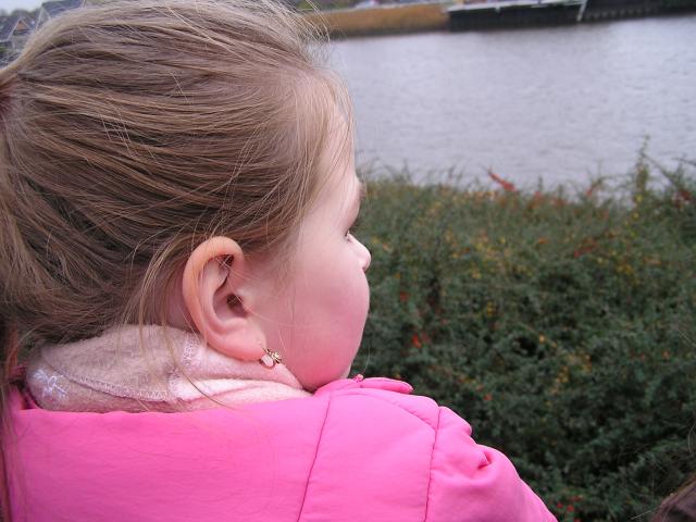 P1010081.JPG