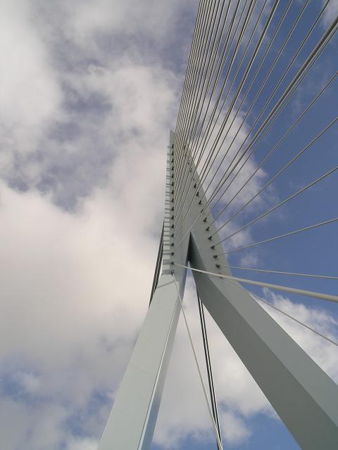 P1010123.JPG