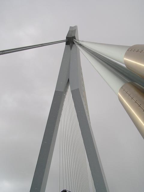 P1010130.JPG