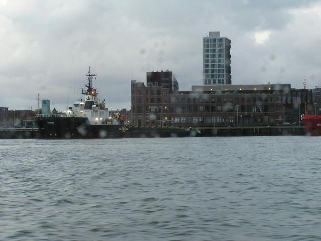 P1010200.JPG