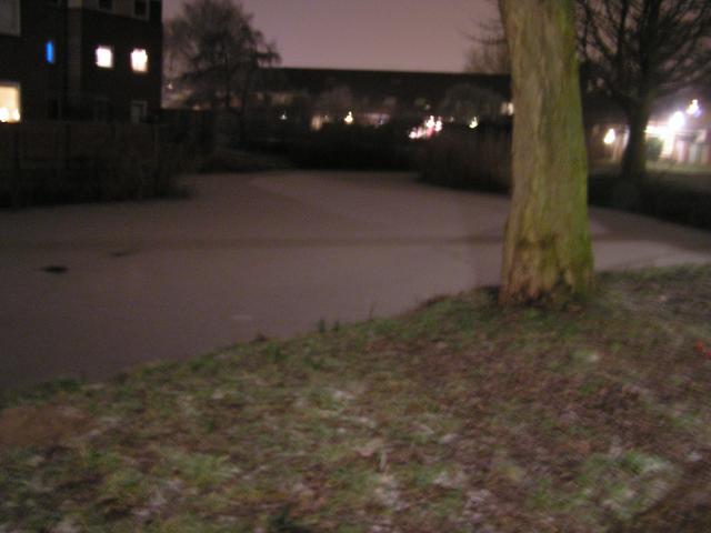P1010071.JPG