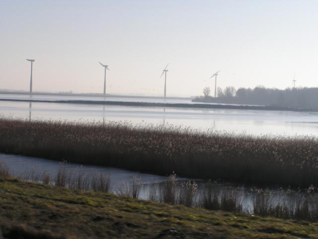 P1010001.JPG