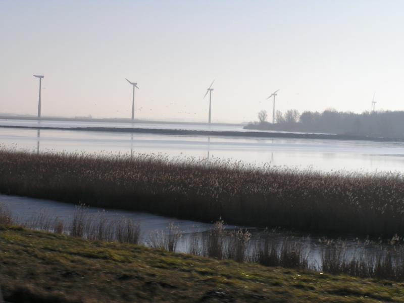 P1010001.JPG
