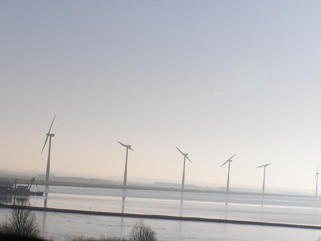 P1010002.JPG