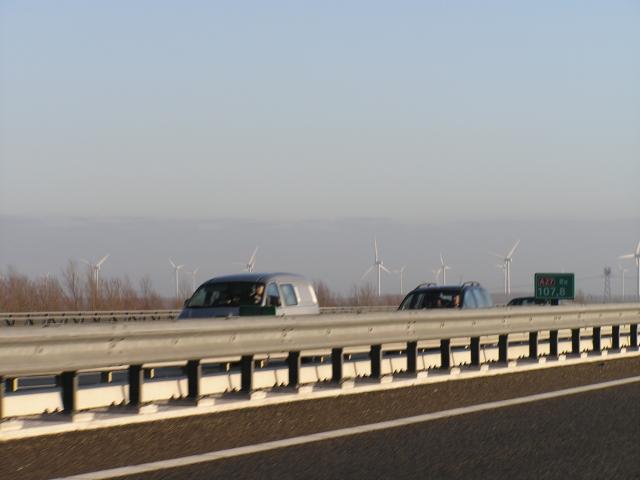 P1010003.JPG