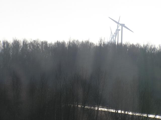 P1010004.JPG