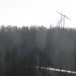 P1010004.JPG