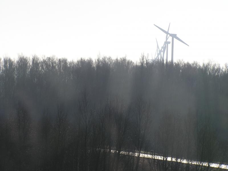 P1010004.JPG