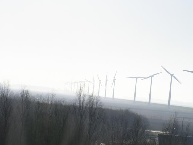 P1010005.JPG