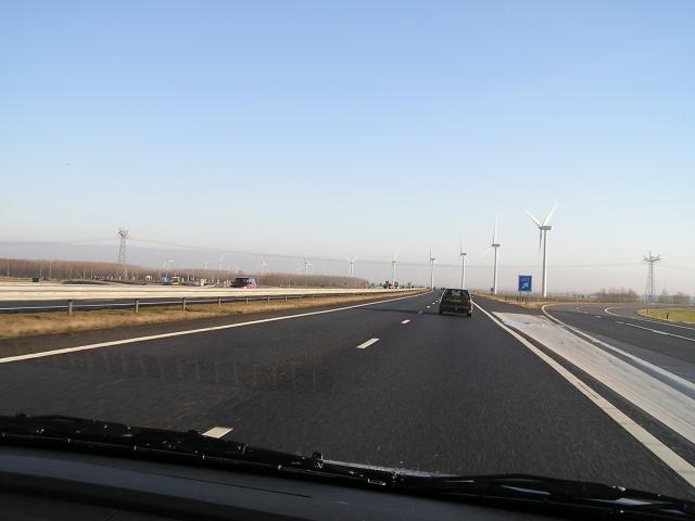 P1010006.JPG