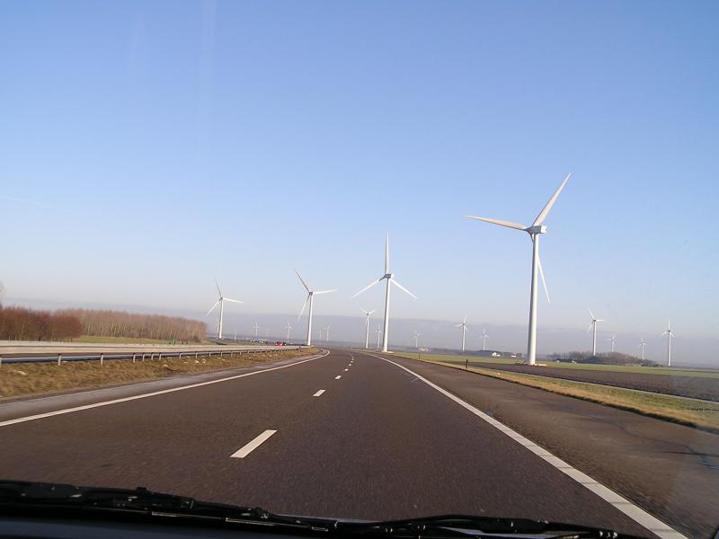 P1010007.JPG