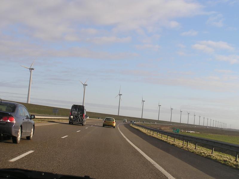 P1010008.JPG
