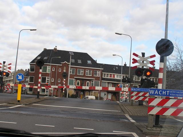 P1010017.JPG