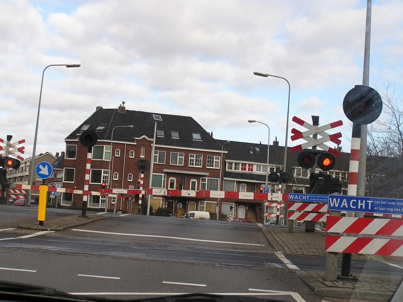 P1010017.JPG