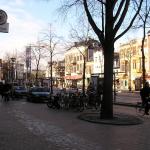 P1010019.JPG