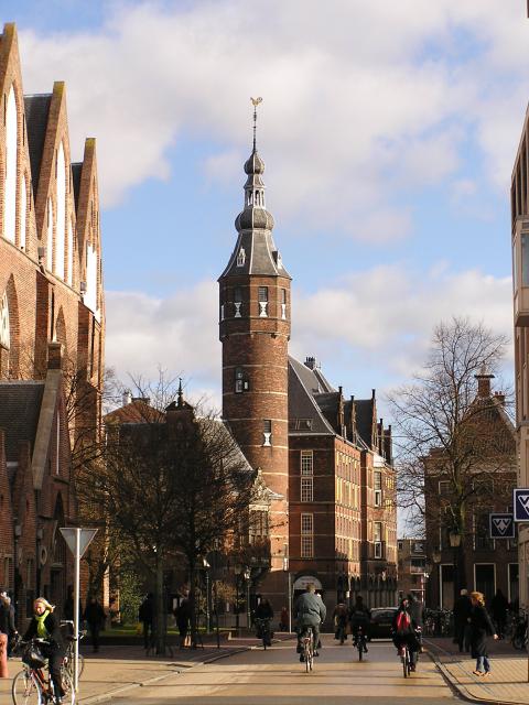 P1010037.JPG