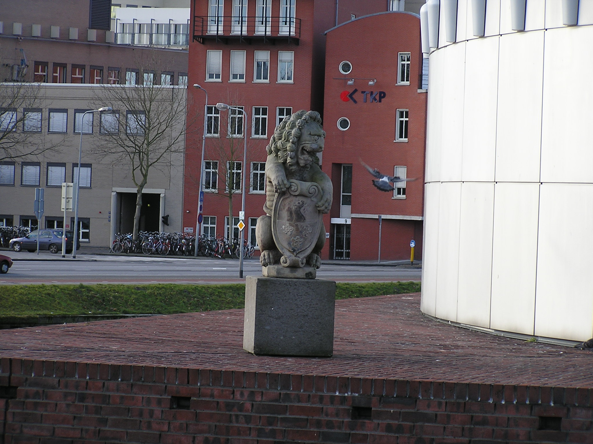 P1010066.JPG