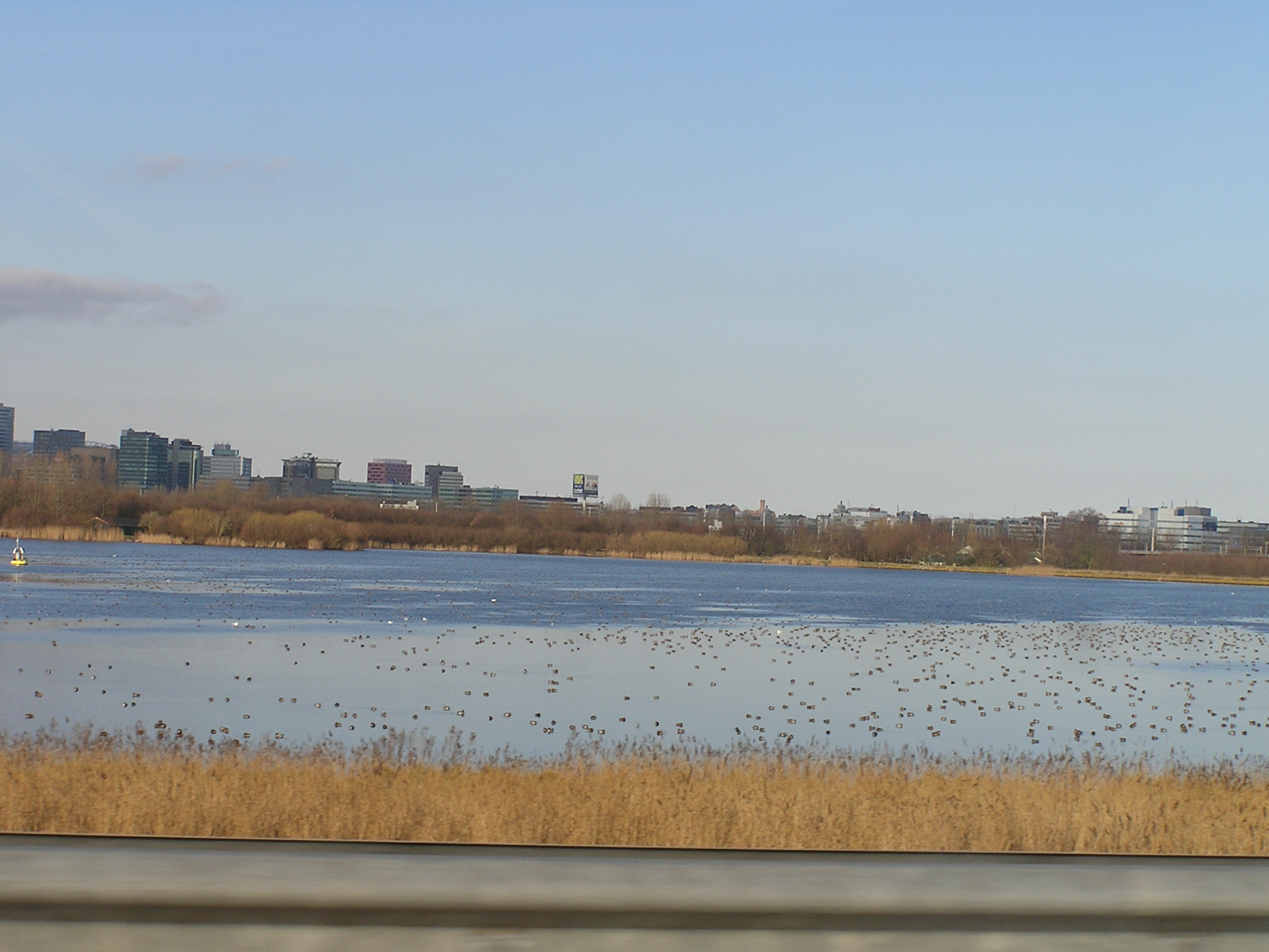 P1010091.JPG