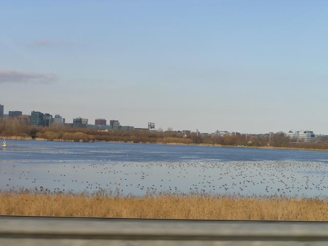 P1010091.JPG