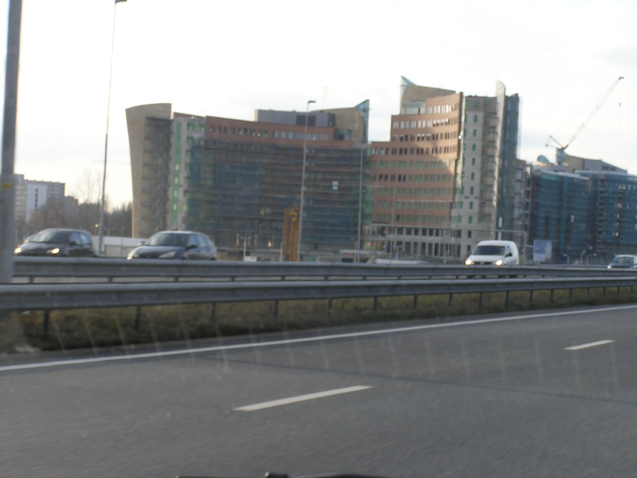 P1010094.JPG