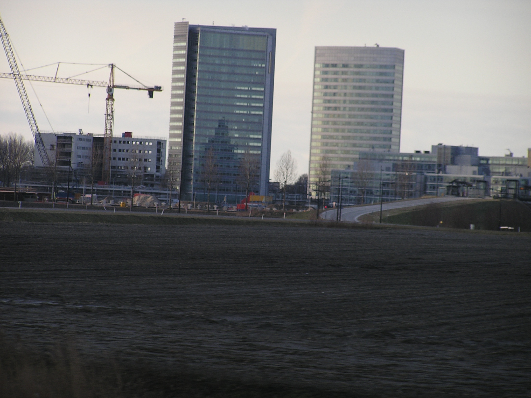 P1010105.JPG