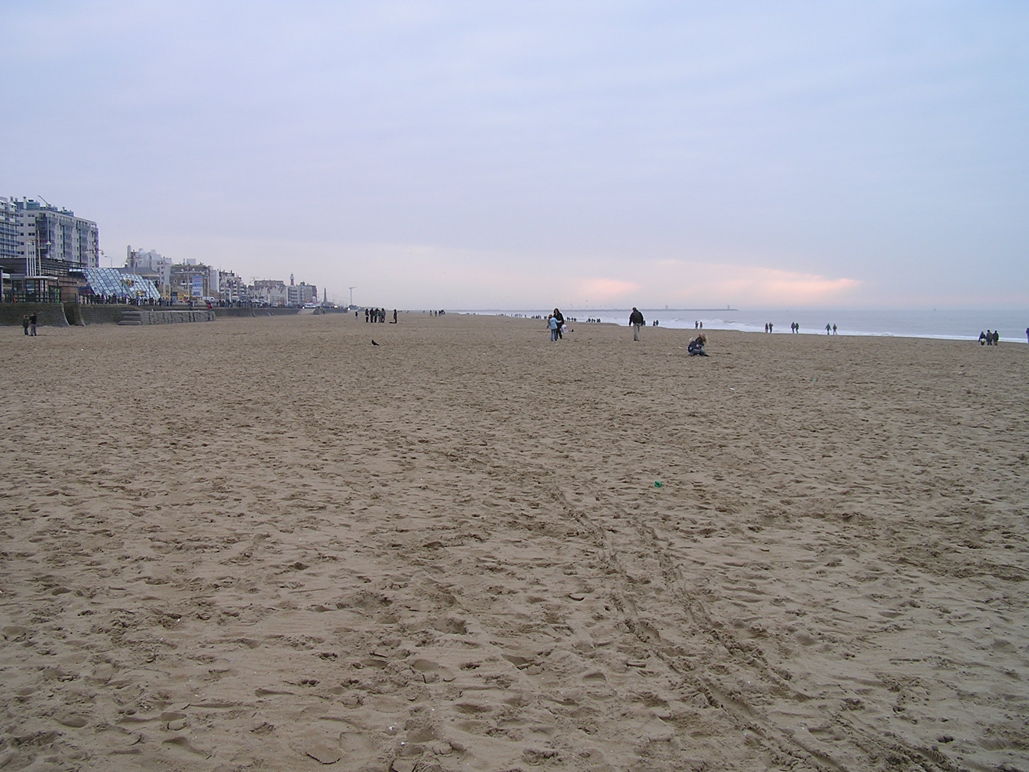 P1010134.JPG