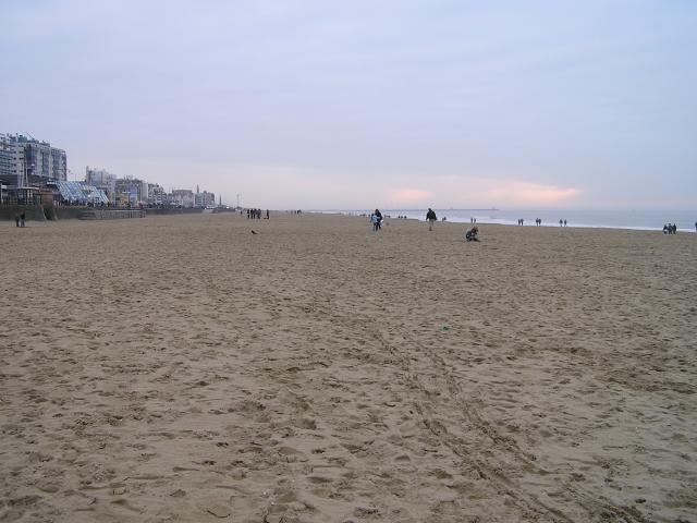 P1010134.JPG