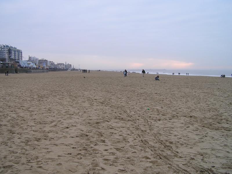 P1010134.JPG