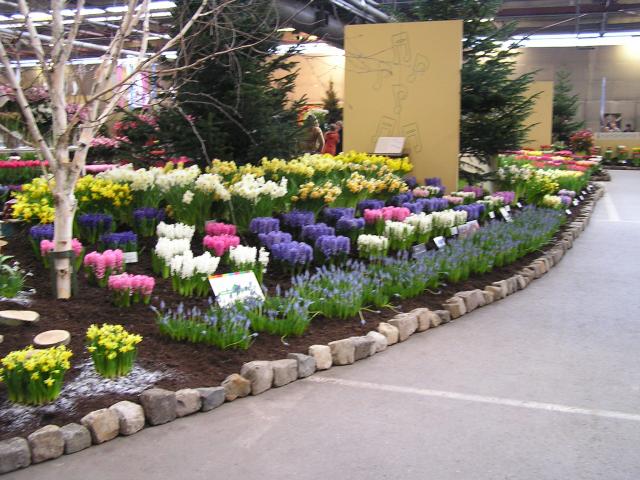 P1010004.JPG