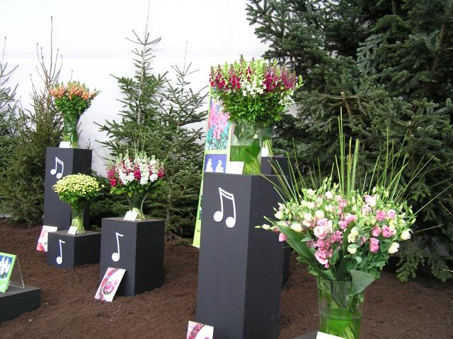 P1010008.JPG