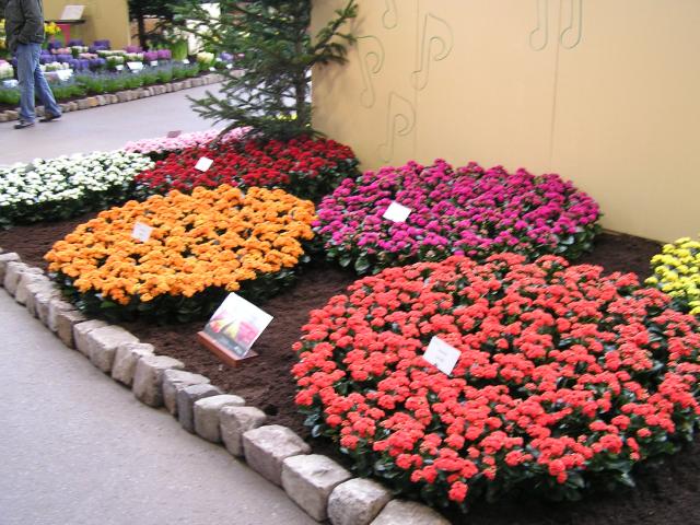 P1010009.JPG