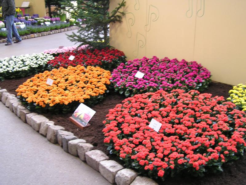 P1010009.JPG