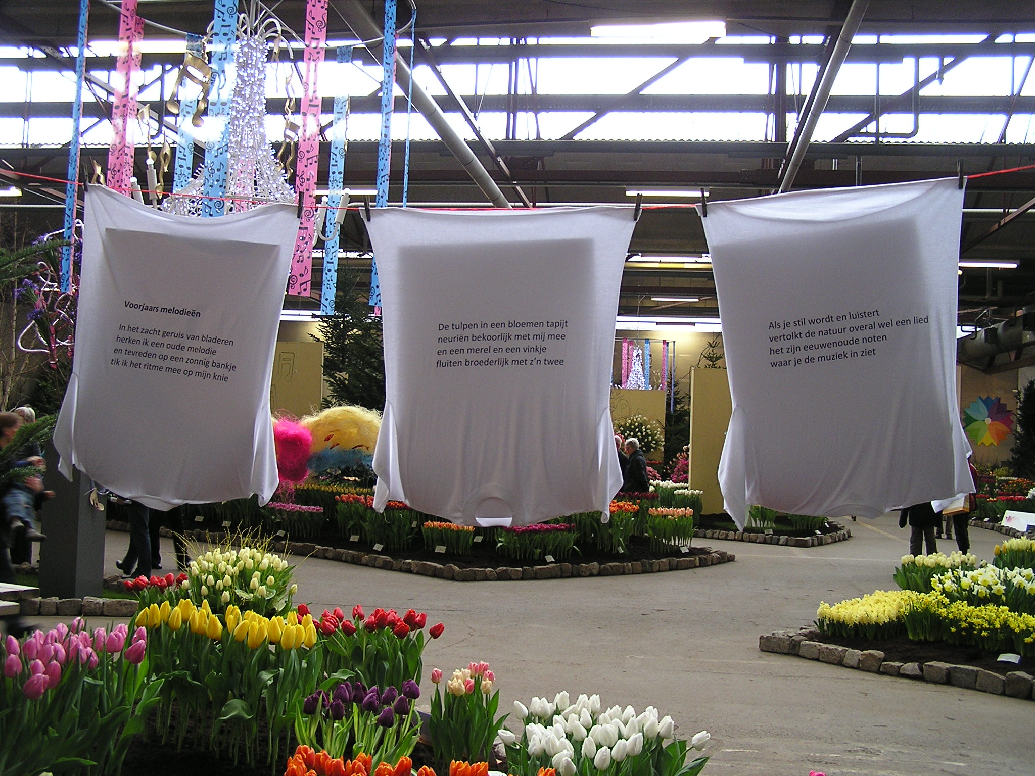 P1010223.JPG