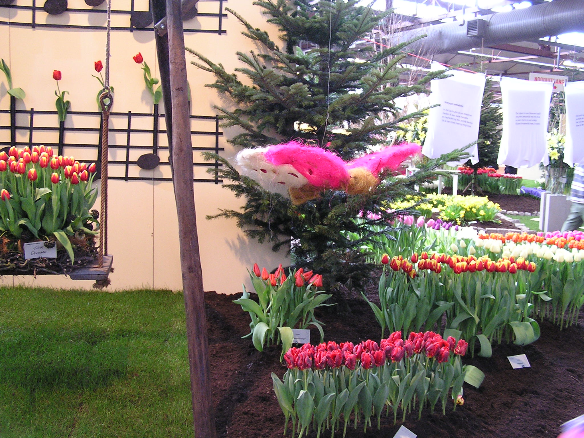 P1010225.JPG