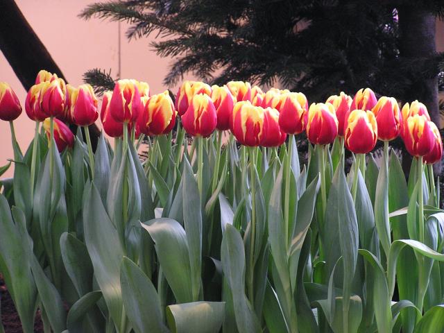 P1010226.JPG