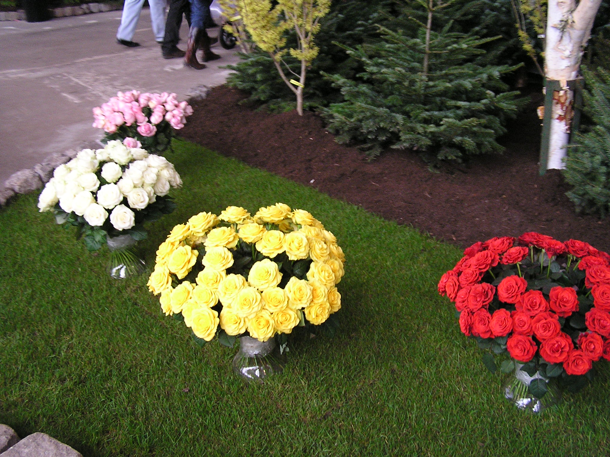 P1010234.JPG