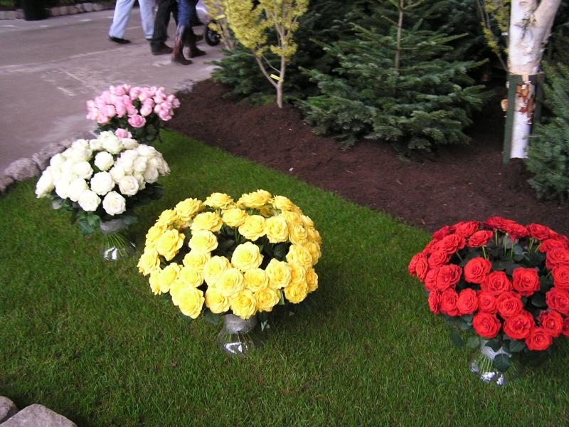 P1010234.JPG