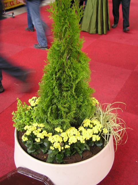 P1010236.JPG