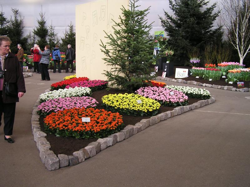 P1010194.JPG