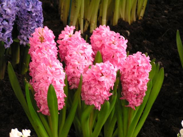 P1010201.JPG